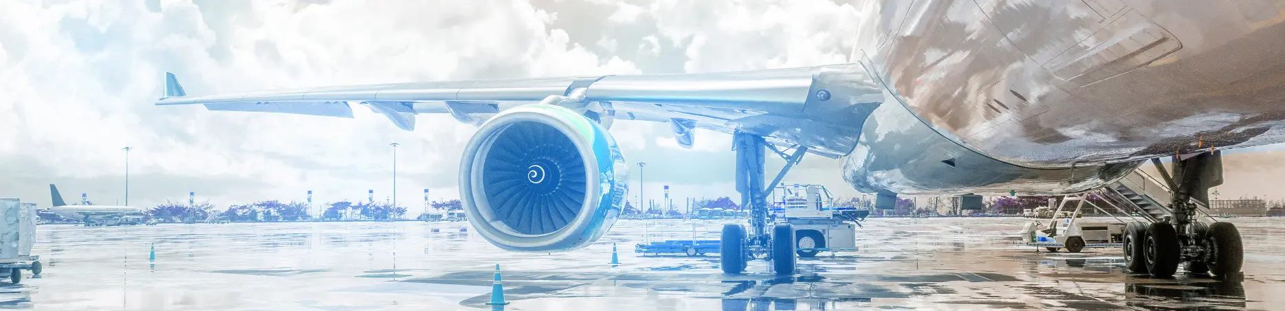 Software & AI Capabilities for Aviation & MRO Industry